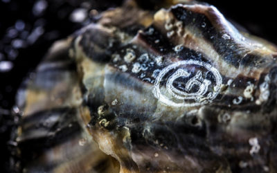 Gillardeau